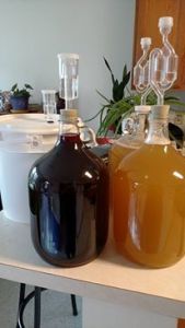 Hibiscus mead, two different plain honey meads.